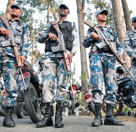 एपीएफ टोलीद्वारा गाँजासहित पक्राउ