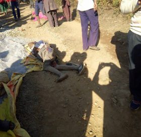 काभ्रेको कोशीपारीमा ट्रकले किच्दा एकको मृत्यु