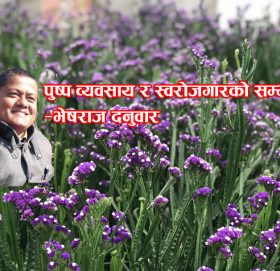 पुष्प व्यवसाय र स्वरोजगारको सम्भावना