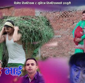 दाेहाेरि गीत दिदि भाई बजारमा ( भिडियाे सहित)