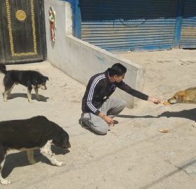 संकटमा पनि जनावर प्रति को प्रेम