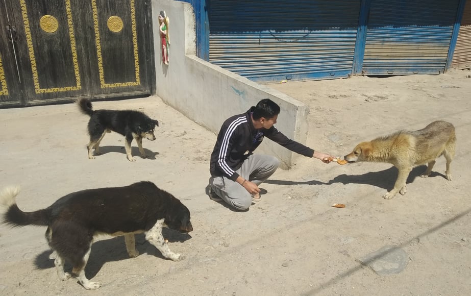 संकटमा पनि जनावर प्रति को प्रेम