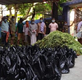 वीरगंजमा व्यक्तिगत खर्चमा हजारौ परिवारलाई हरियो तरकारी बितरण ,