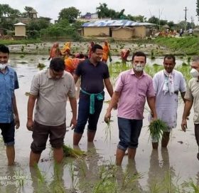 नेपाल किसान संघले धान रोपि राष्ट्रिय धान दिवस मनाए