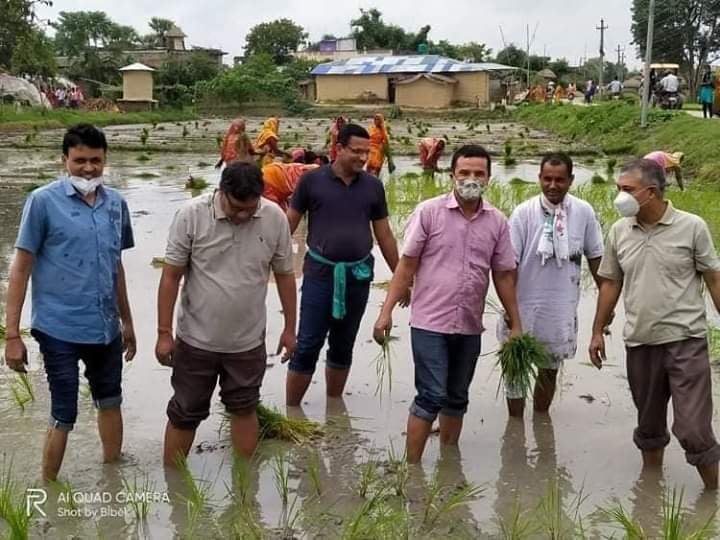 नेपाल किसान संघले धान रोपि राष्ट्रिय धान दिवस मनाए