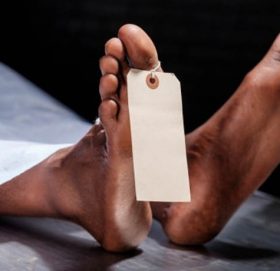 शिक्षकको डेङ्गु सङ्क्रमणबाट मृत्यु