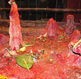 हलेसीको ककनीडाँडामा ‘रक गार्डेन’