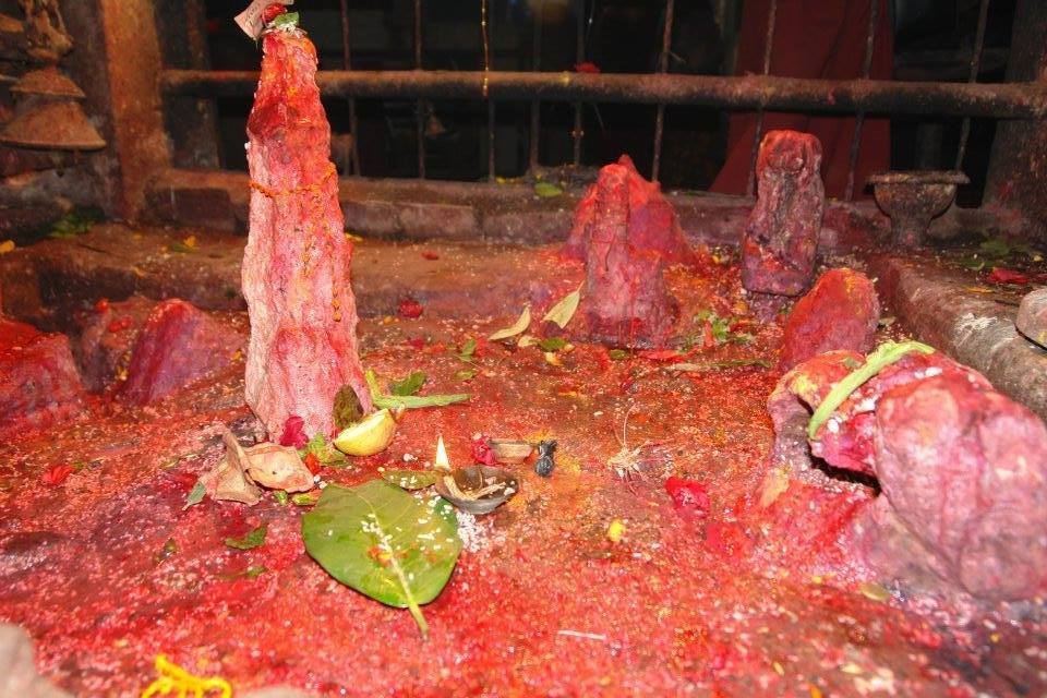 हलेसीको ककनीडाँडामा ‘रक गार्डेन’