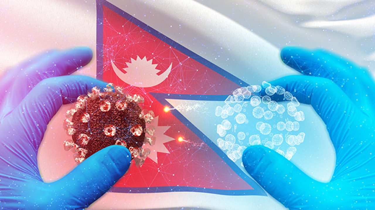 थप २१३ जनामा कोरोना संक्रमण पुष्टि, संक्रमित संख्या ३४४८ पुग्यो