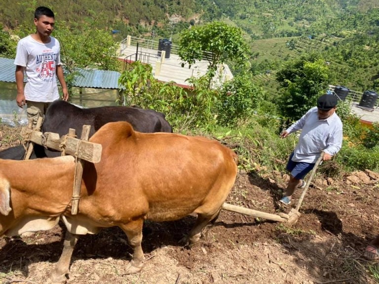 हलाे जाेत्न थाले पुर्वसभामुख महरा