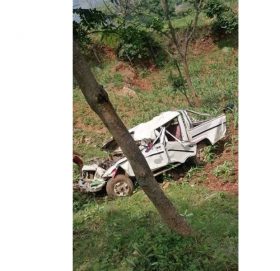 काभ्रेको तेमालमा तरकारी बोकेको गाडी दुर्घटना, चालक  घाइते