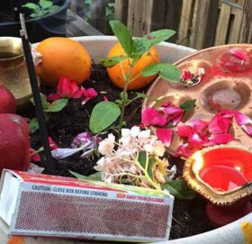 आज घरघरमा तुलसीको दल राखी निर्जला एकादशी पर्व मनाइँदै