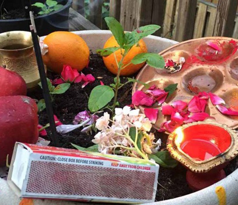 आज घरघरमा तुलसीको दल राखी निर्जला एकादशी पर्व मनाइँदै