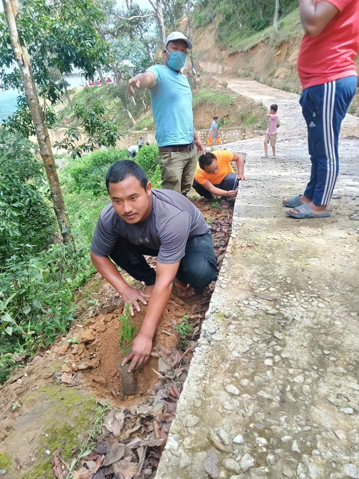 नेपाने बुद्धपार्क वरपर बृक्षारोपण