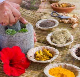 कोरोनाको आयुर्वेदिक औषधिको अनुसन्धान