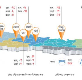 पहिरोले दशककै बढी क्षति