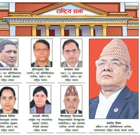 राष्ट्रिय सभाको साख गिर्ने चिन्ता