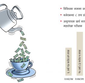 चिया-नास्तामै २० अर्ब खर्च