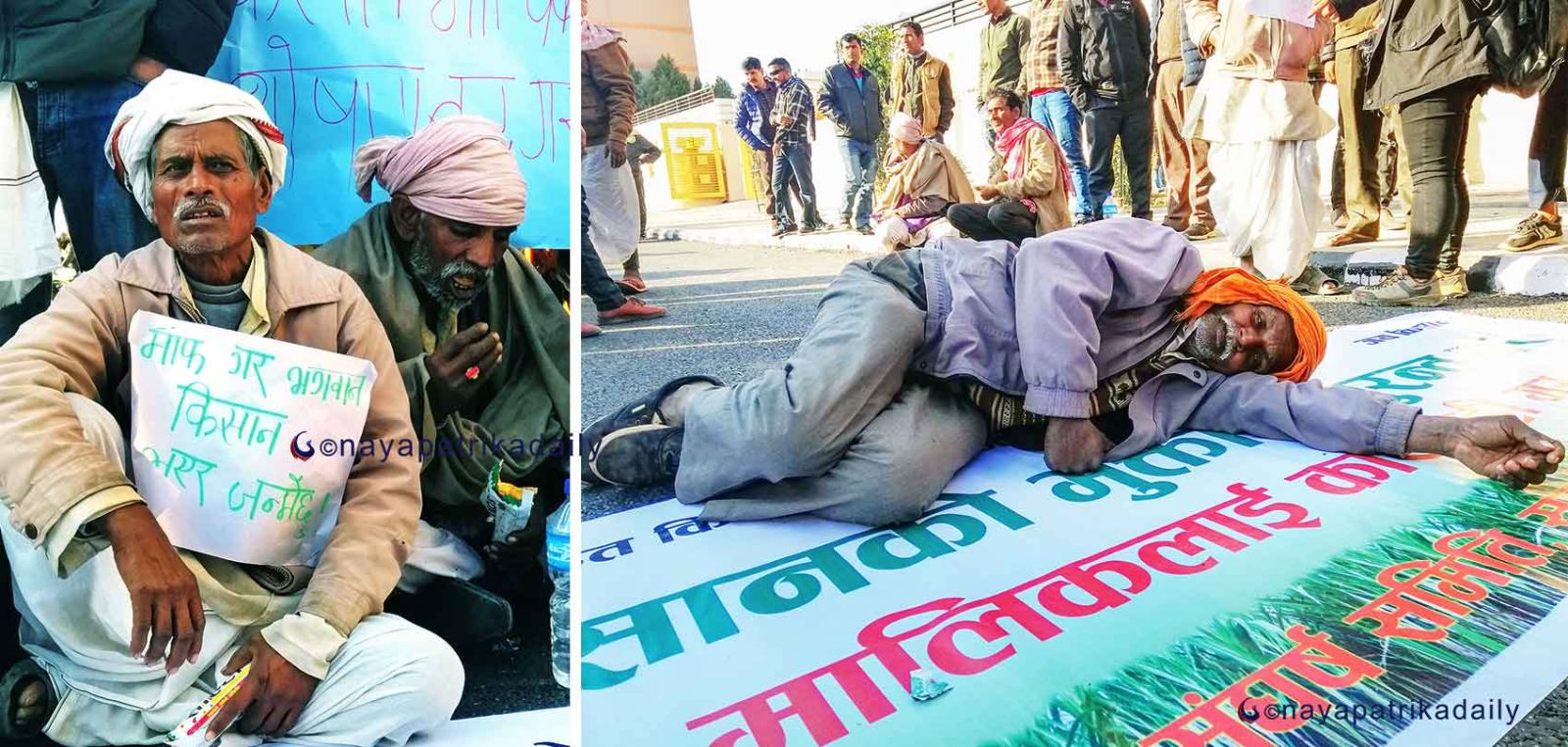 सरकार र उखु किसानबीच सहमति : २१ दिनभित्र पैसा पाउने, आन्दोलन स्थगित
