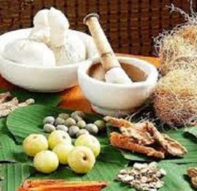 आयुर्वेदिक औषधि उपयोगी