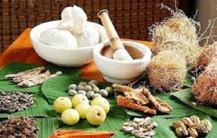 आयुर्वेदिक औषधि उपयोगी