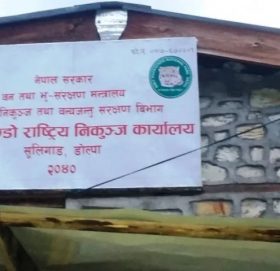 ज्यानको बाजी राखी हिउँमा निकुञ्जको सुरक्षा