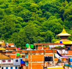 वाह् ! क्या दामी बनेपा
