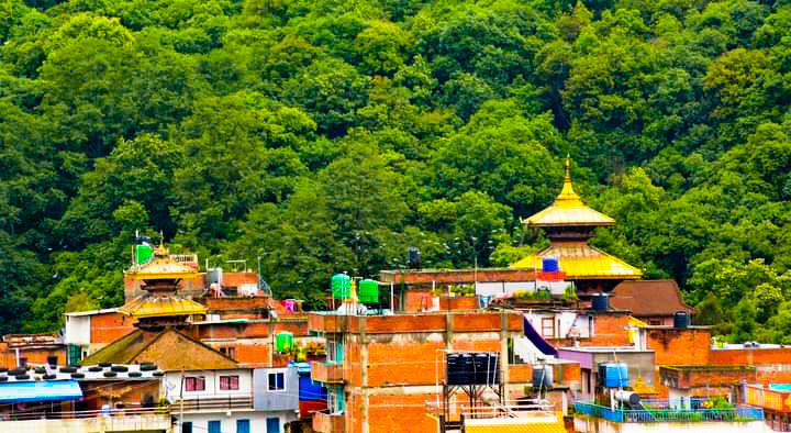 वाह् ! क्या दामी बनेपा