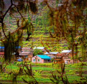 आहा ! बांथलीको सिङार्चे