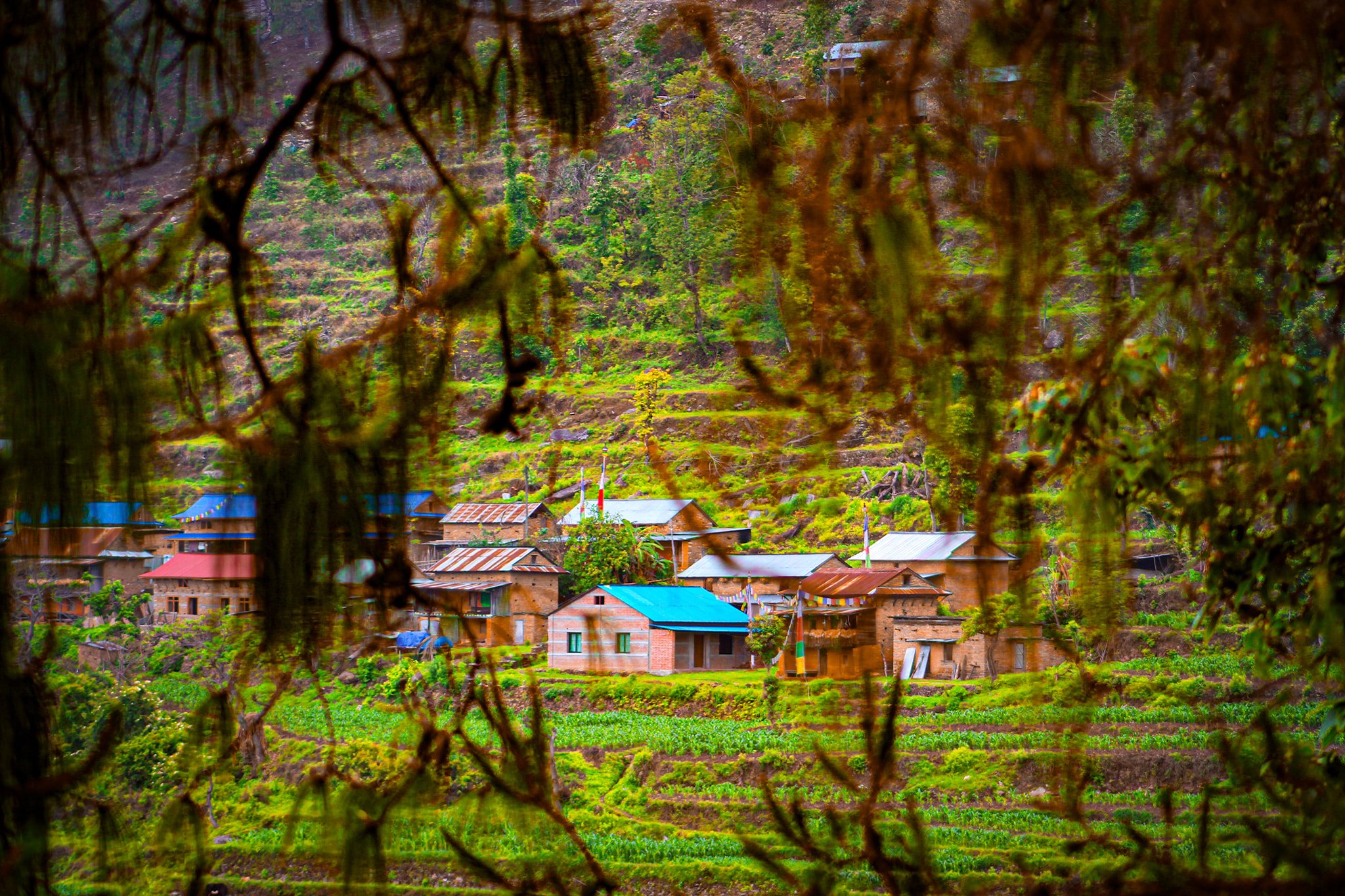 आहा ! बांथलीको सिङार्चे