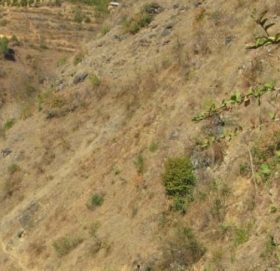 काभ्रेको रोशीमा भिरबाट लडेर एक जनाको मृत्यु