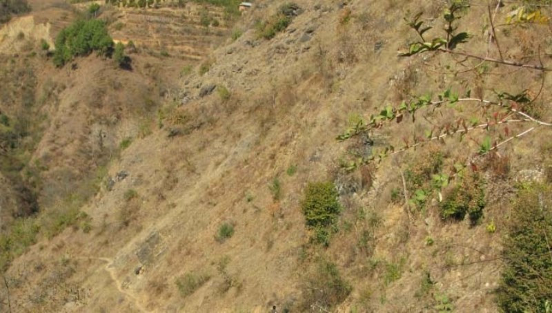 काभ्रेको रोशीमा भिरबाट लडेर एक जनाको मृत्यु