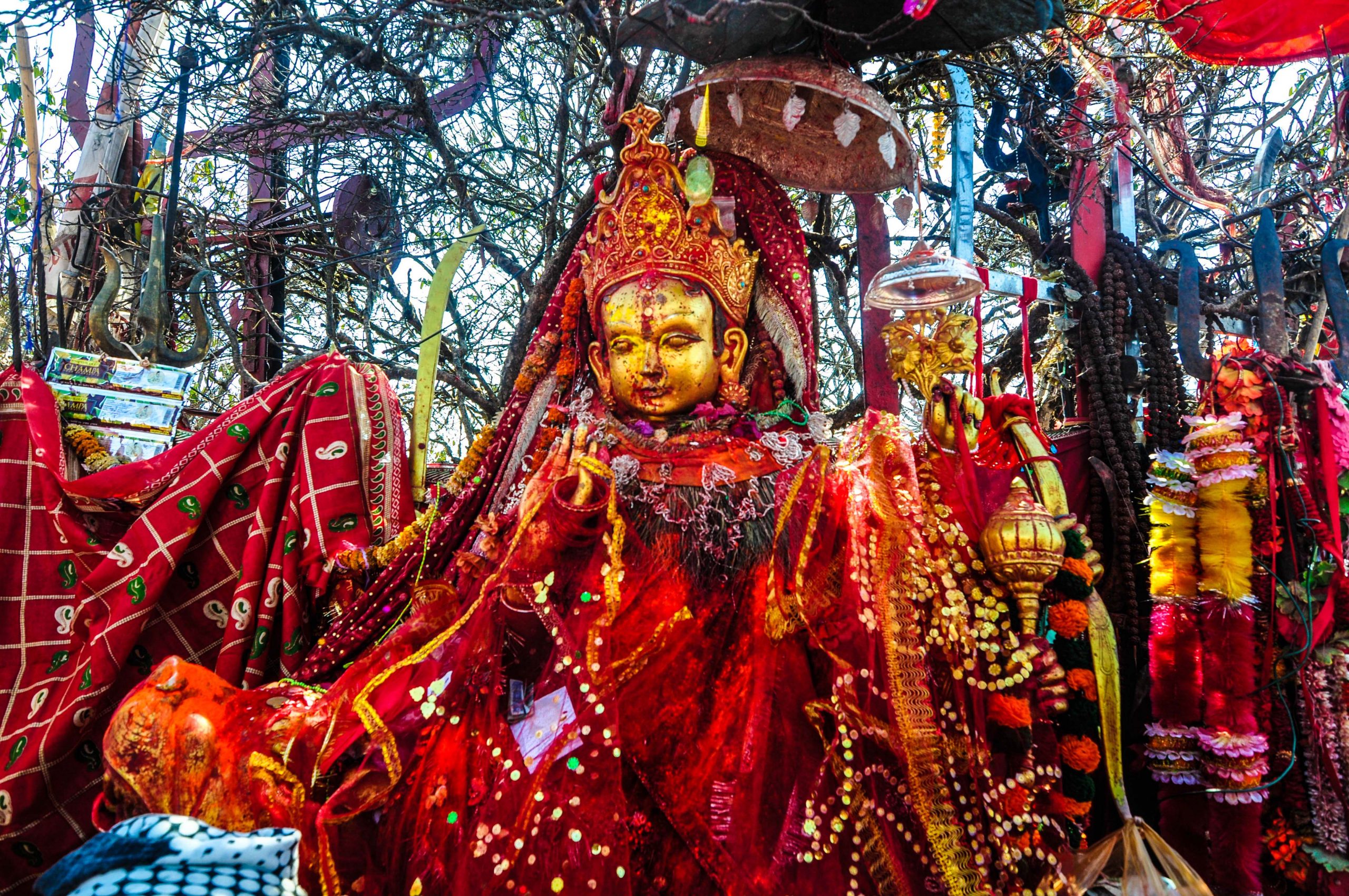 पाथीभरा दर्शन गर्न अब कन्यामबाट हेलिकप्टर