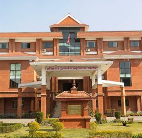 तालिमको नाममा भ्रष्टाचार गरेको आरोपमा गाउँपालिका अध्यक्षसहित ६ जनाविरूद्ध मुद्दा