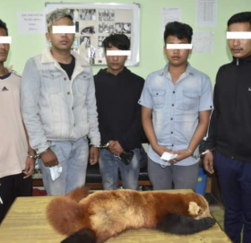 रेड पाण्डाको छाला सहित काभ्रेका युवक लामा  प क्राउ