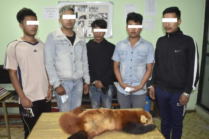 रेड पाण्डाको छाला सहित काभ्रेका युवक लामा  प क्राउ