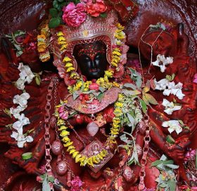 आज २०८१ साल मंसिर ७ गते शुक्रबारको राशिफल हेर्नुहोस्