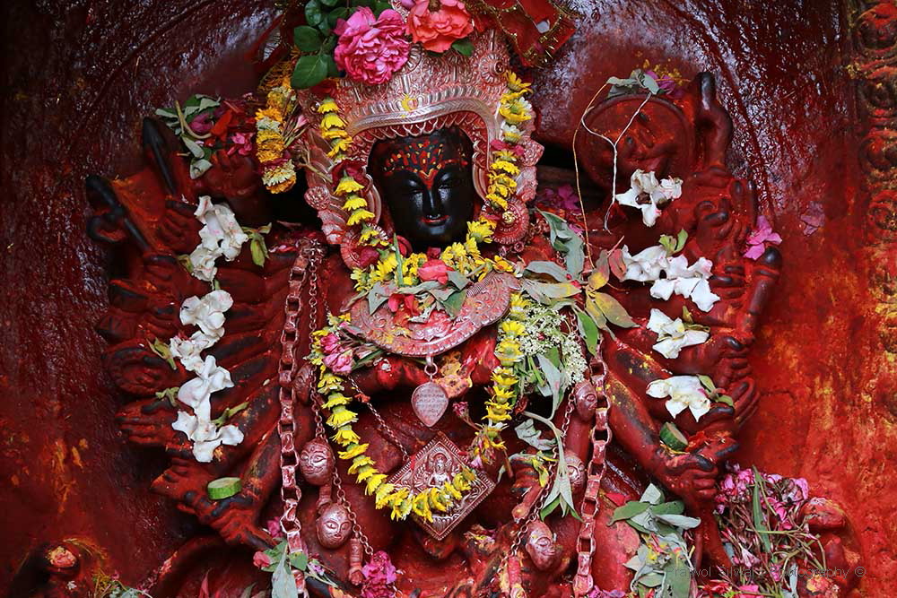 आज २०८० साल साउन ४ गते बिहीबारको राशिफल हेर्नुहोस्