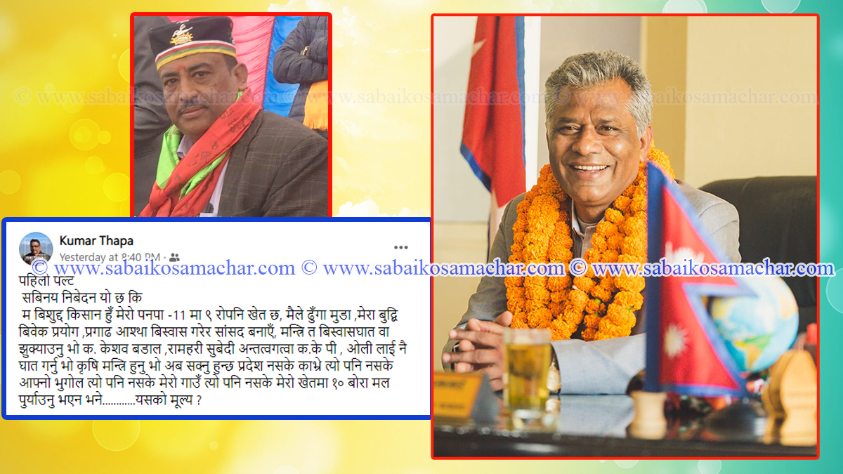 कृषि मन्त्री हुमागाईप्रति एमाले नेता कुमार थापाको धम्की  !
