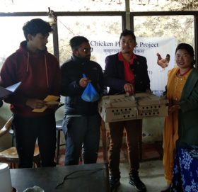 समाजसेवी रन्जिब श्रेष्ठद्वारा पात्लेखेतमा कुखुराको चल्ला सहयोग