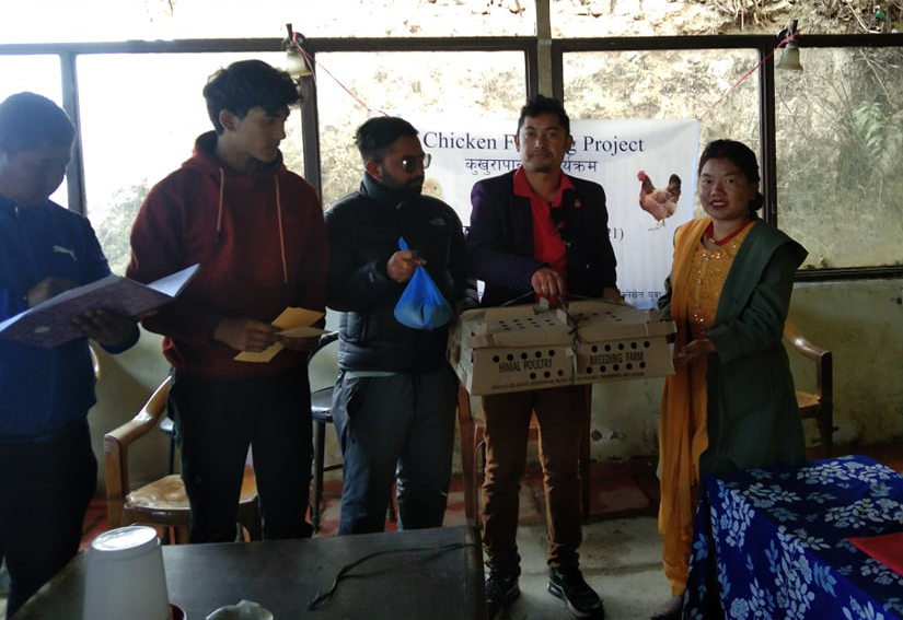 समाजसेवी रन्जिब श्रेष्ठद्वारा पात्लेखेतमा कुखुराको चल्ला सहयोग