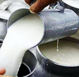 दूधको मूल्य बढ्यो
