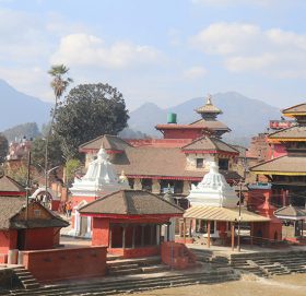 बाह्र वर्षे मकर मेलाबारे डिसिएमसी काभ्रेले गर्यो यस्तो निर्णय