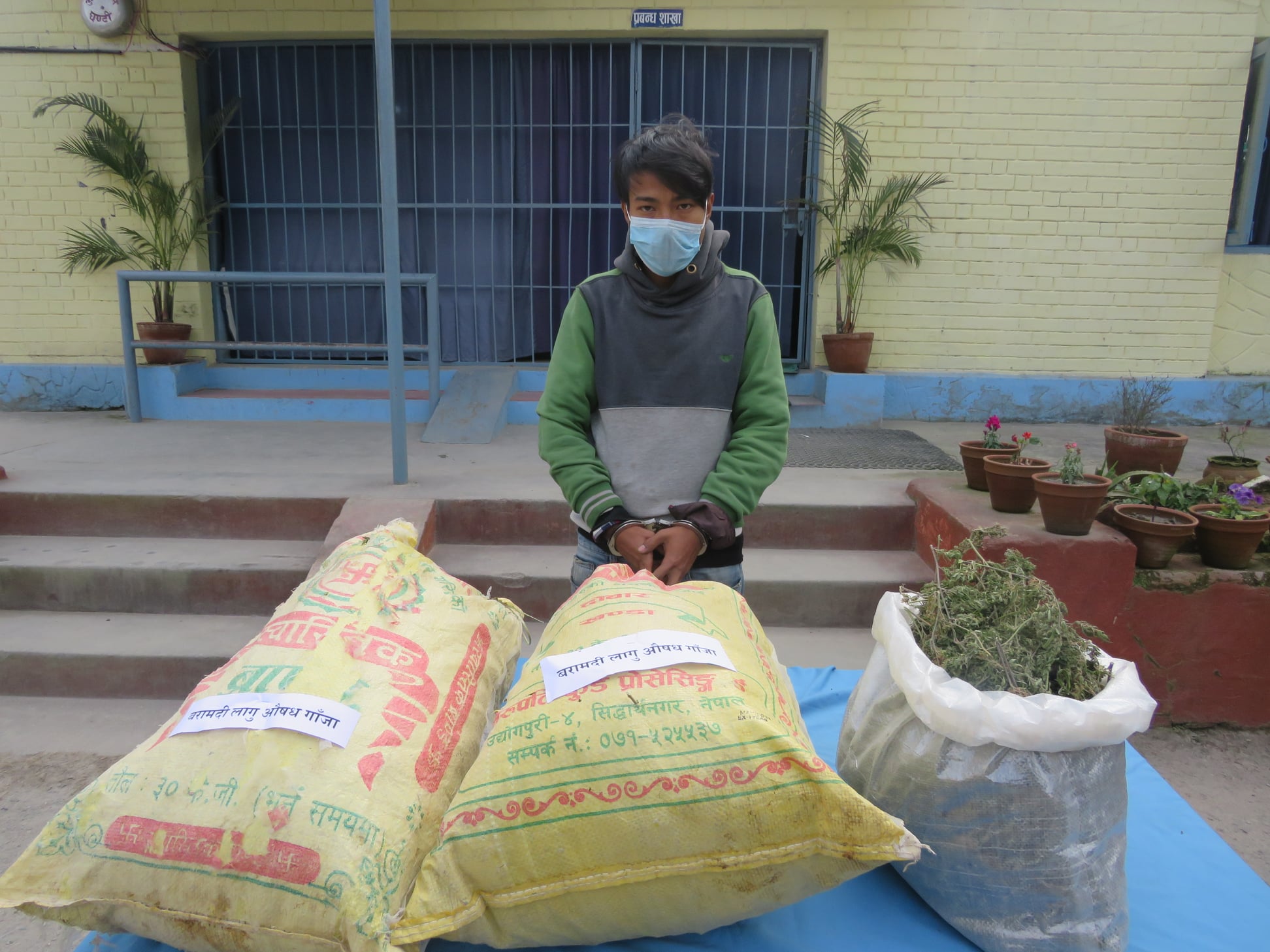 अ बै ध लागु औ ष ध गाँजा सहित काभ्रेका सञ्जय प क्रा उ