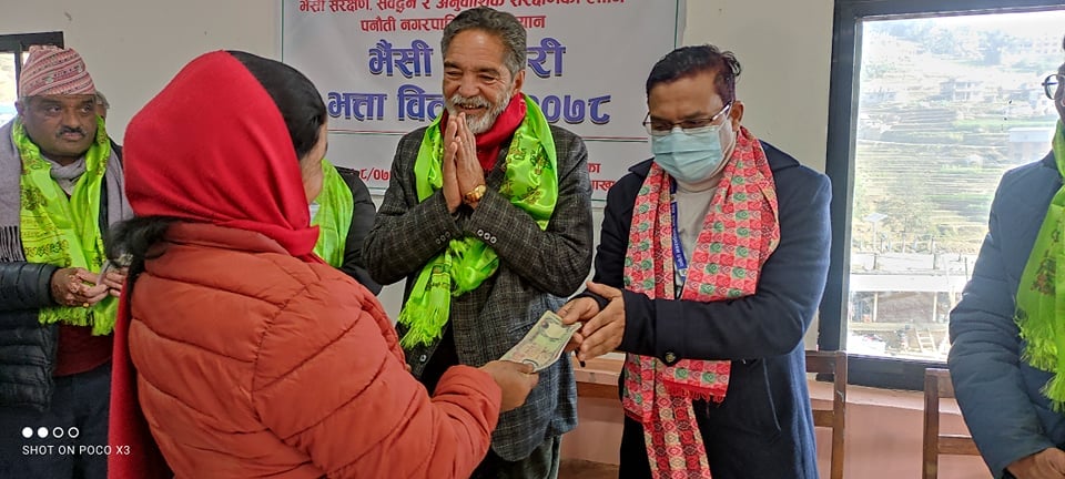 काभ्रेको पनौतीका किसानले पाए भैंसीको सुत्केरी भत्ता