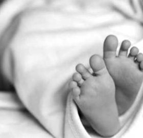 जंगली च्याउ खाँदा ३ वर्षे बालकको मृत्यु