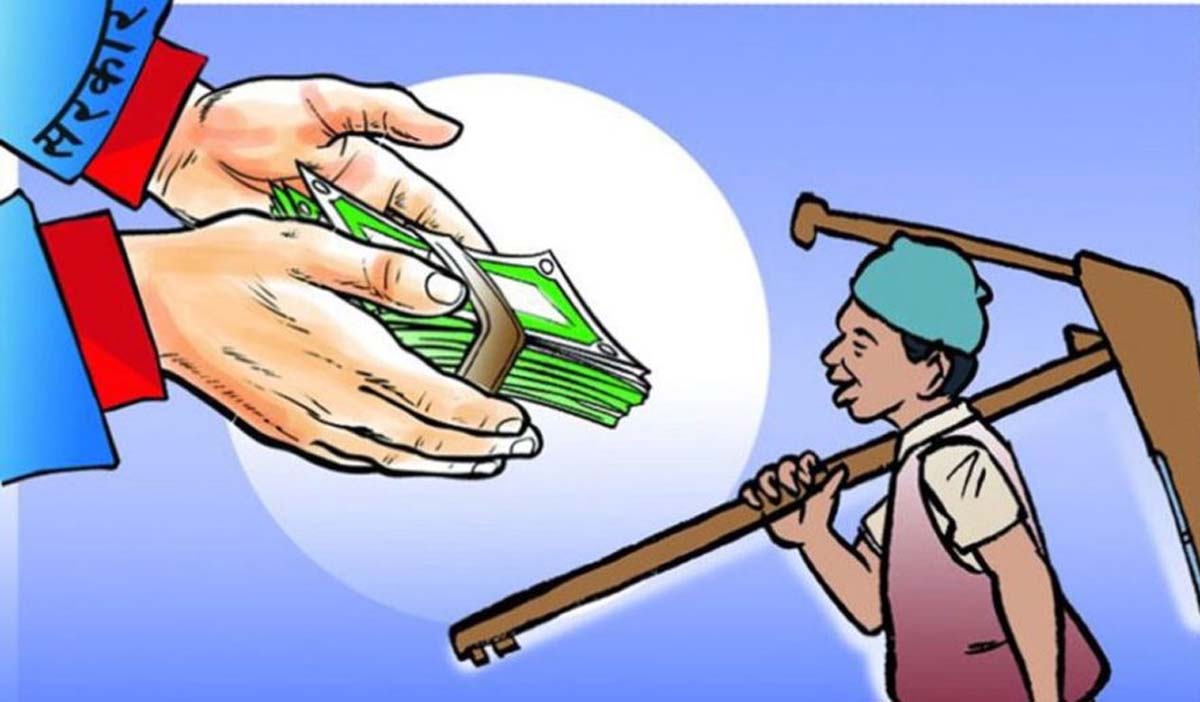 खाँटी कृषकलाई होइन, कागज मिलाउनेलाई अनुदान !