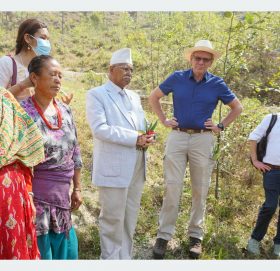 अनुकूलन कार्यक्रमले हराभरा हुँदै काभ्रेका पाखा