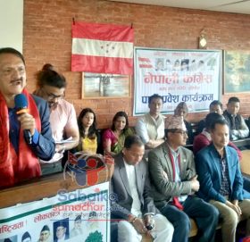 एमसीसीबारे झुटो प्रचार भयो : डा. प्रकाशशरण महत