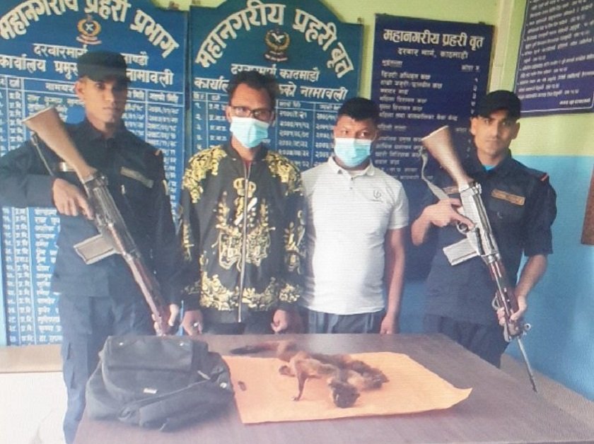 रेडपाण्डाको छालासहित काभ्रेका श्रेष्ठ पक्राउ